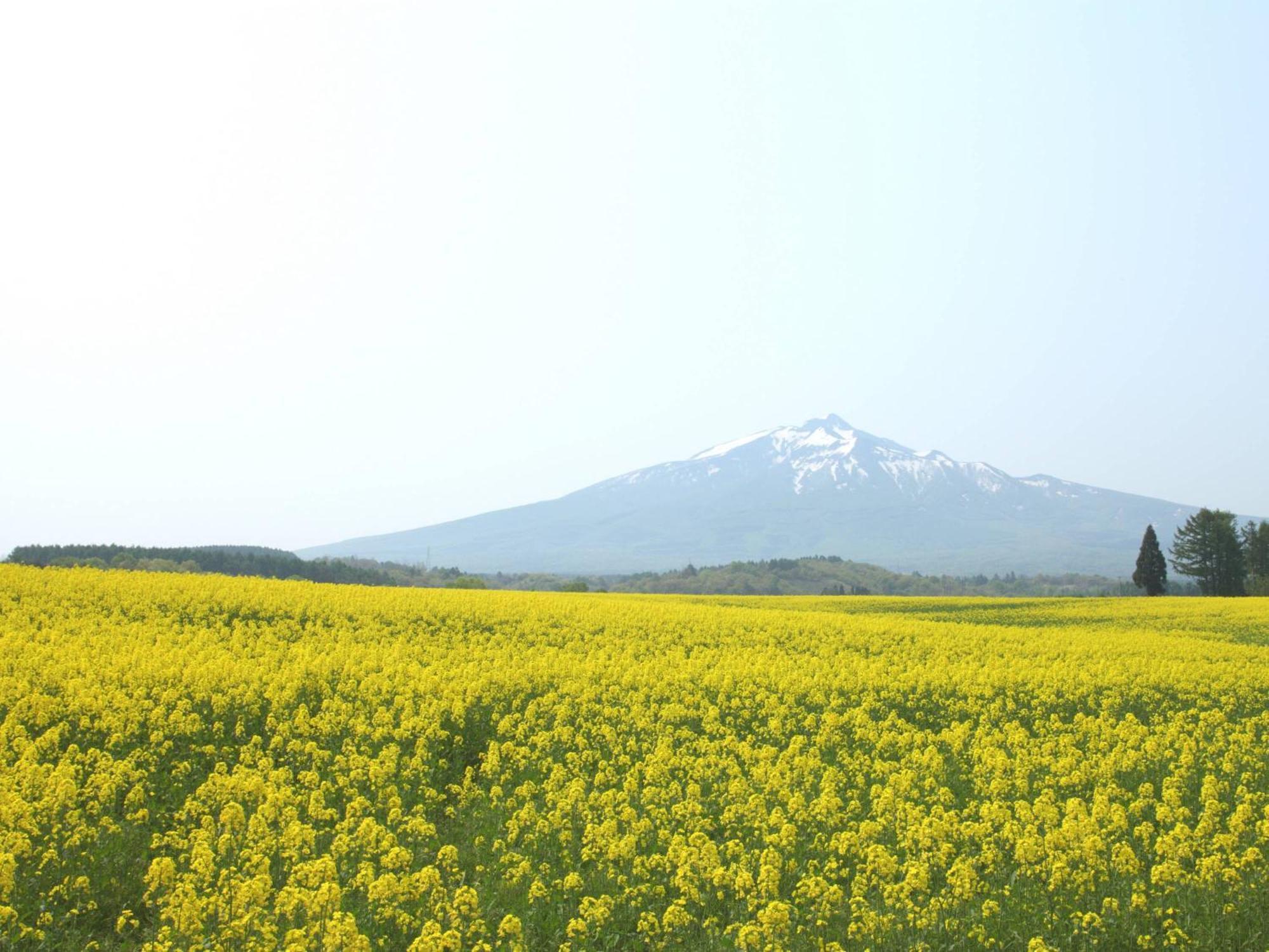 Apa Hotel Aomori Ekihigashi Экстерьер фото